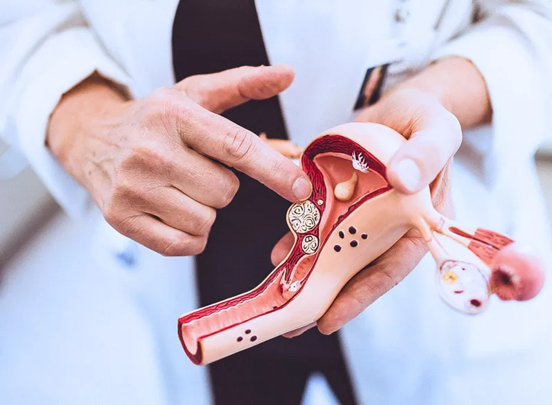 A clinician points to a pelvic anatomy model during a patient education discussion.