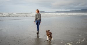 What's the difference between mindfulness and meditation?